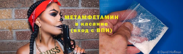 прущие грибы Пестово