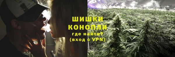 прущие грибы Пестово