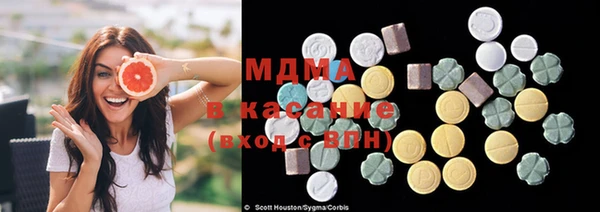 прущие грибы Пестово