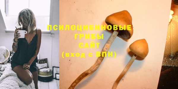 прущие грибы Пестово