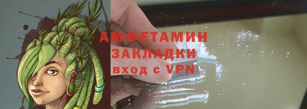 прущие грибы Пестово