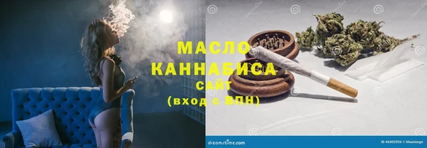дмт Бикин