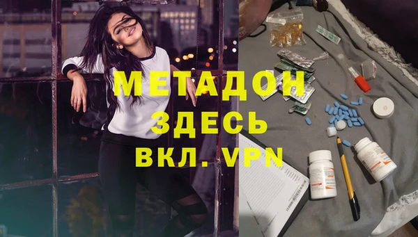прущие грибы Пестово