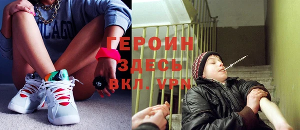 дмт Бикин
