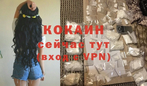 гидра Пересвет