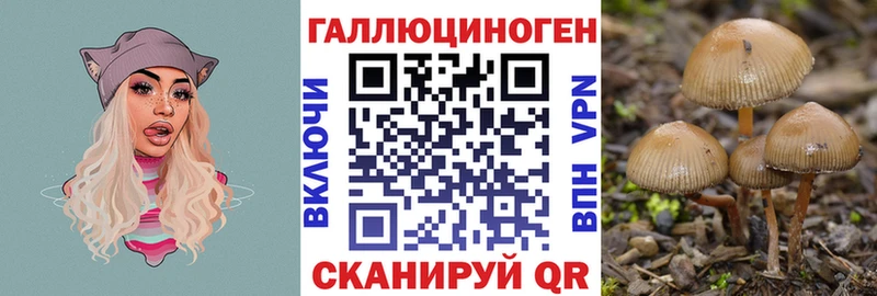 Псилоцибиновые грибы Cubensis  мориарти формула  Ртищево 