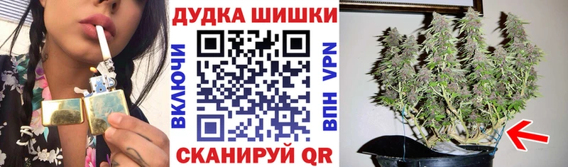 цены   Ртищево  Бошки марихуана ГИДРОПОН 